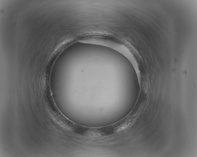 X0000080660207200612301343