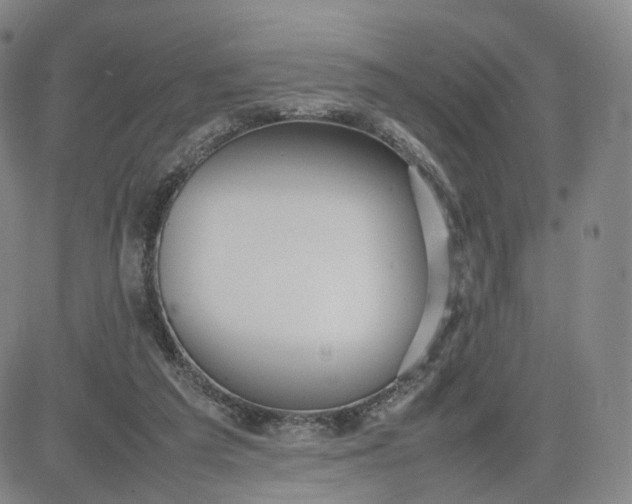 X0000080660209200612301343