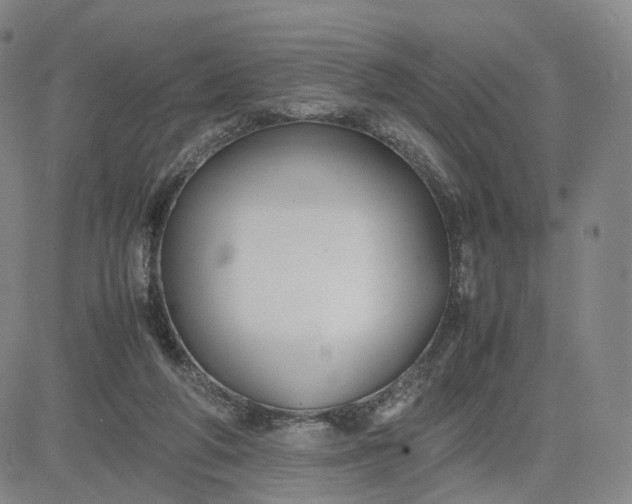 X0000080660210200612301343