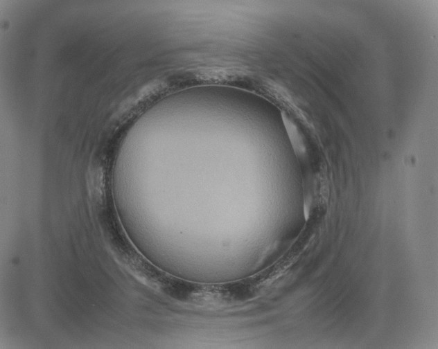 X0000080660211200612301343