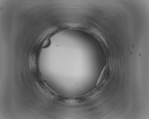 X0000080660212200612301343