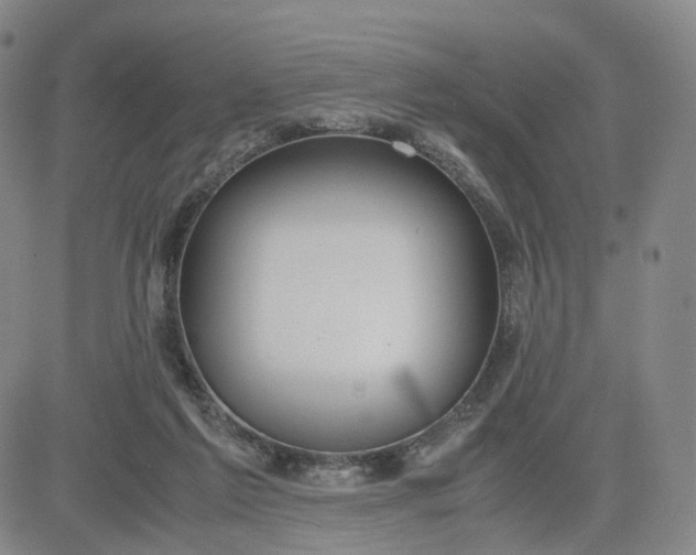 X0000080660213200612301343