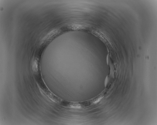 X0000080660214200612301343