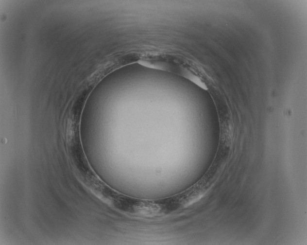 X0000080660215200612301343