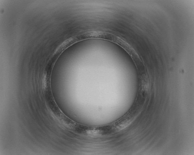 X0000080660216200612301343