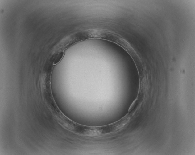 X0000080660217200612301343