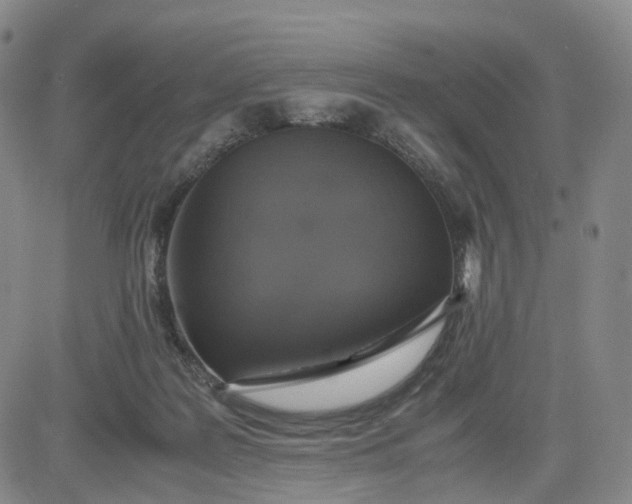 X0000080660219200612301343