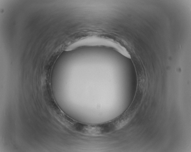 X0000080660221200612301343