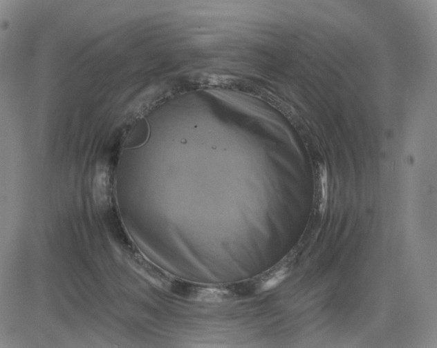 X0000080660222200612301343