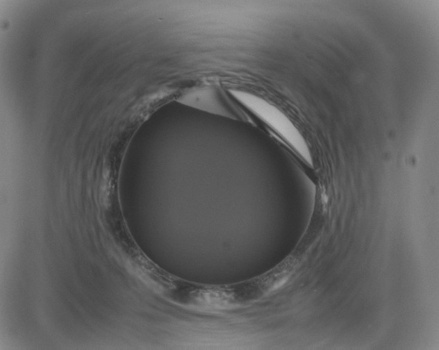 X0000080660223200612301343