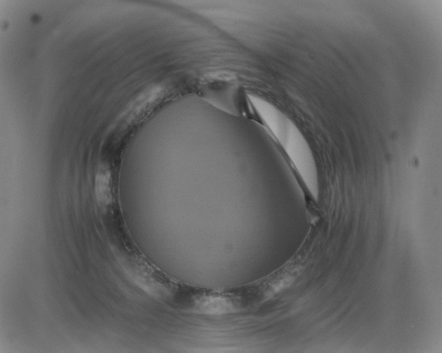 X0000080660224200612301343