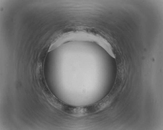 X0000080660225200612301343