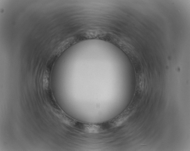 X0000080660226200612301343