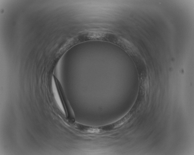 X0000080660227200612301343