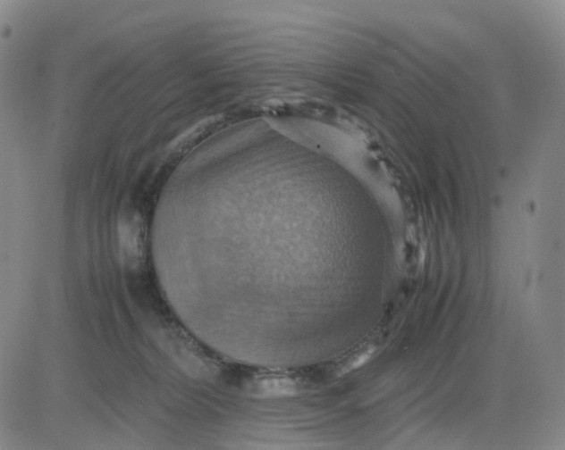 X0000080660228200612301343