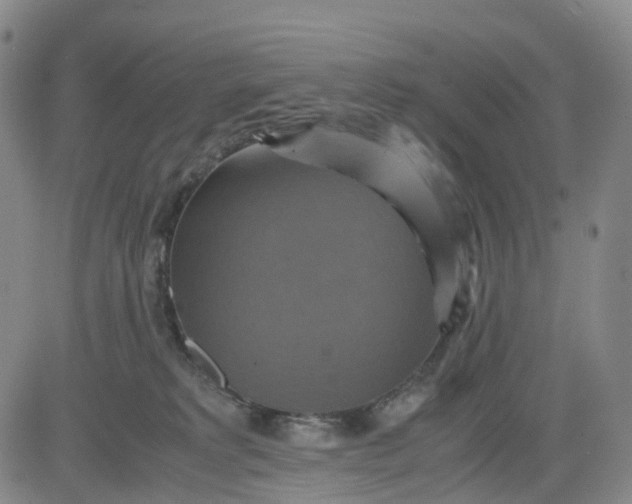 X0000080660229200612301343