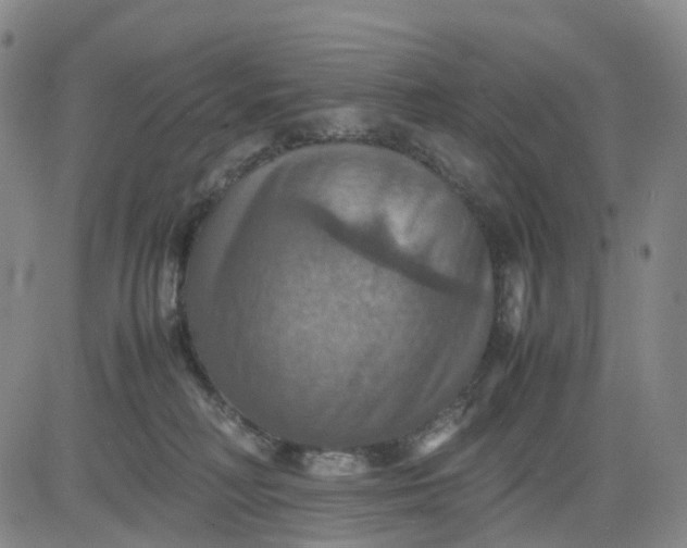 X0000080660230200612301343