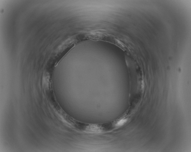 X0000080660231200612301343