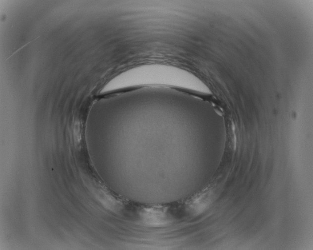 X0000080660232200612301343