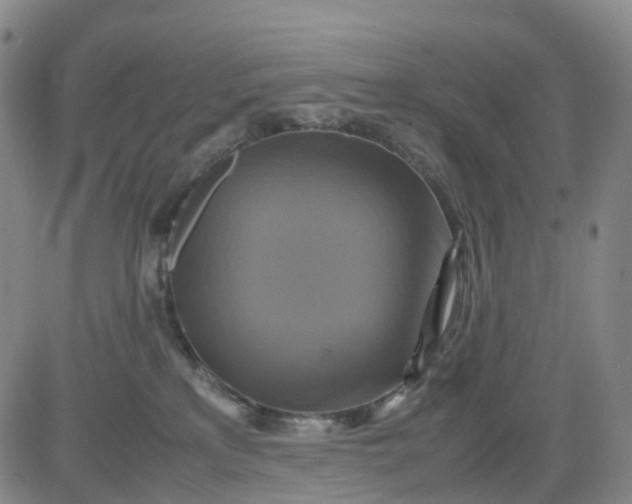 X0000080660233200612301343