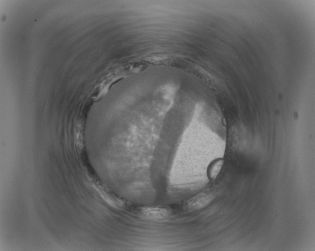 X0000080660234200612301343