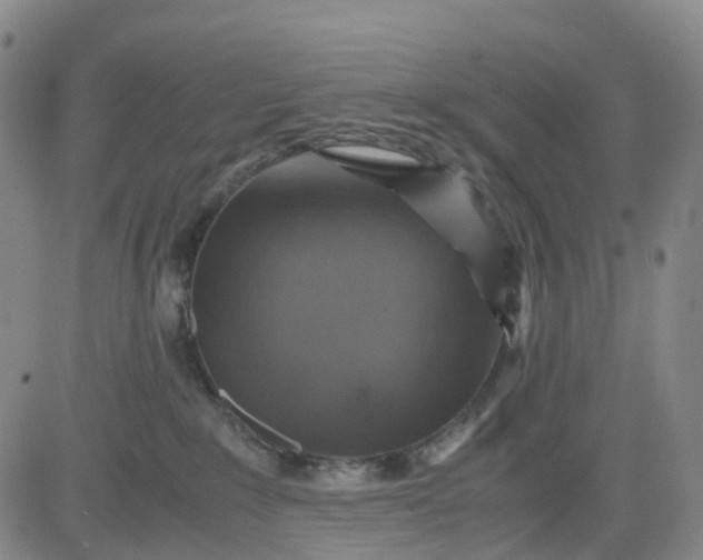 X0000080660235200612301343