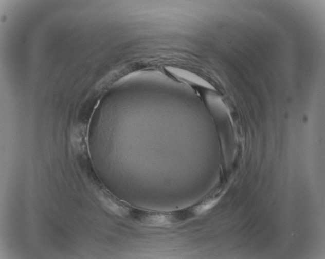 X0000080660237200612301343