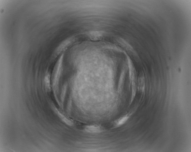 X0000080660238200612301343