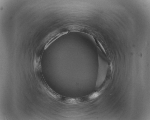 X0000080660239200612301343