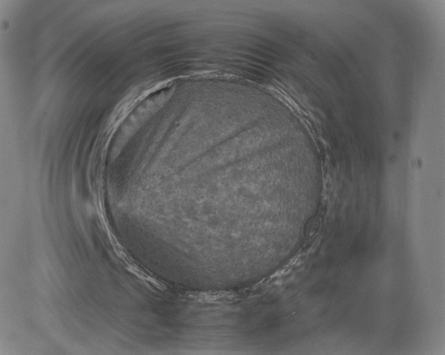 X0000080660241200612301342