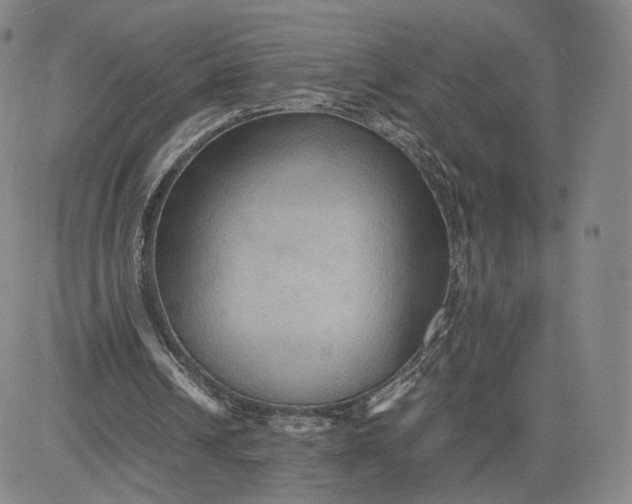 X0000080660242200612301342