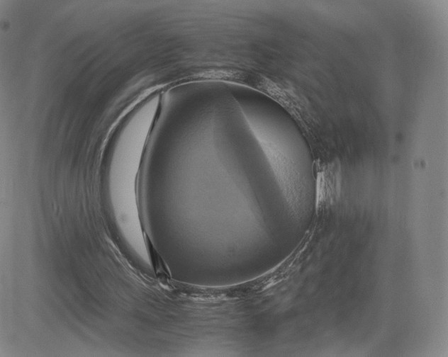 X0000080660243200612301342