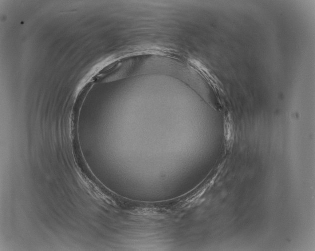 X0000080660244200612301342