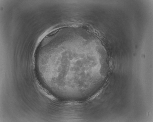 X0000080660246200612301342