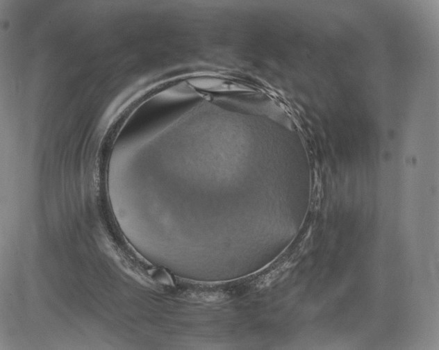 X0000080660247200612301342