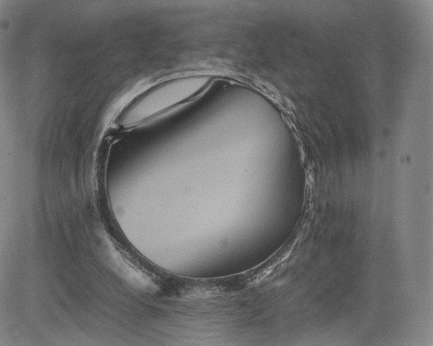 X0000080660248200612301342