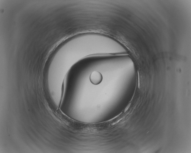 X0000080660252200612301342