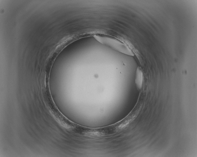 X0000080660253200612301342