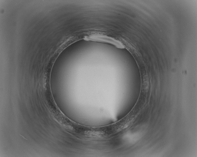 X0000080660255200612301342