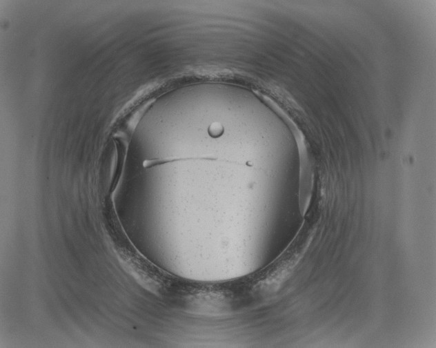 X0000080660256200612301342