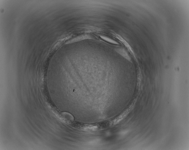 X0000080660257200612301342