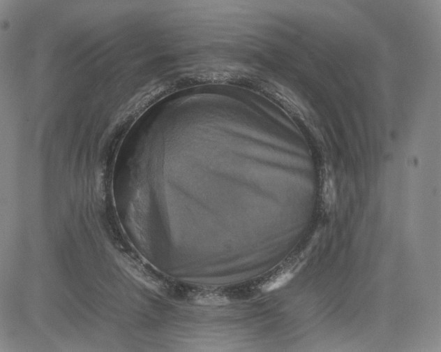 X0000080660258200612301342