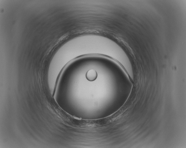 X0000080660260200612301342