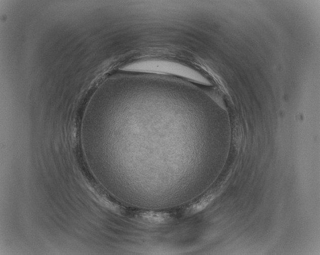 X0000080660261200612301342