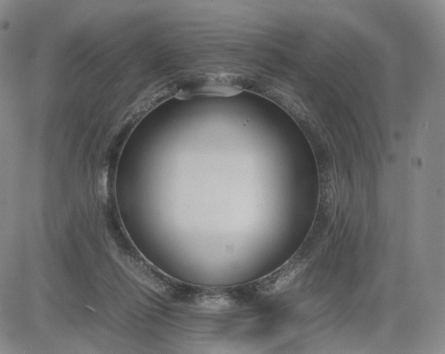 X0000080660262200612301342