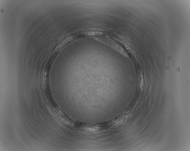 X0000080660263200612301342