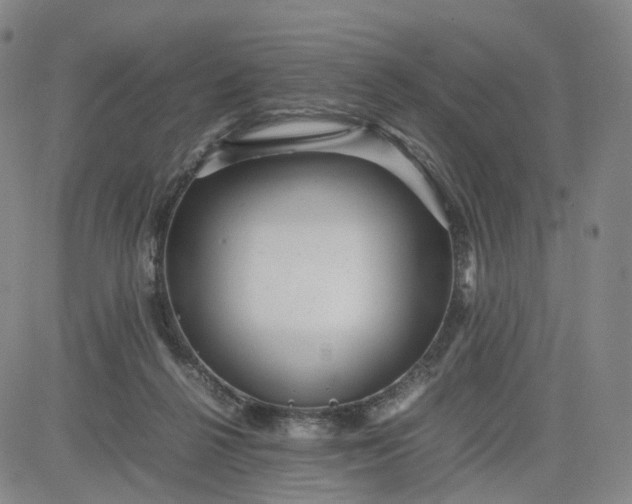 X0000080660264200612301342