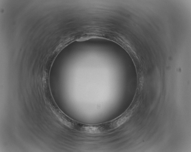 X0000080660265200612301342