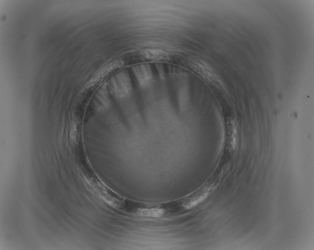 X0000080660266200612301342