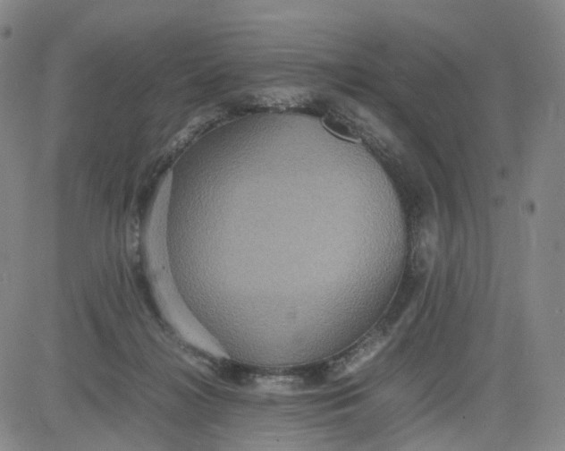 X0000080660268200612301342